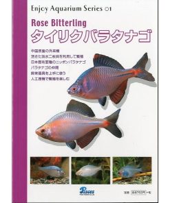 Rose Bitterling　「タイリクバラタナゴ」　＜送料無料＞